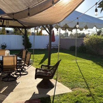 WhatsApp Image 2026-02-08 at 10.13.00 AM